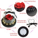 Timeless Romance LED Light Eternal Flowers in Heart Glass Dome